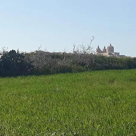 In Malta